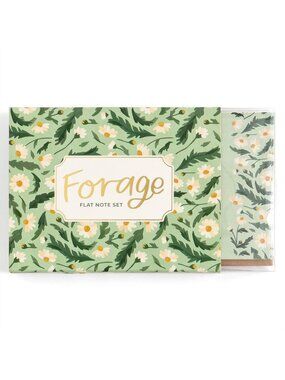 Forage Flat Note Card Set Envelopes Daisies Floral Design Elegant Stationery